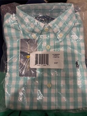 Toddler Ralph Lauren Mint and White Gingham Toddler Button-Down Shirt